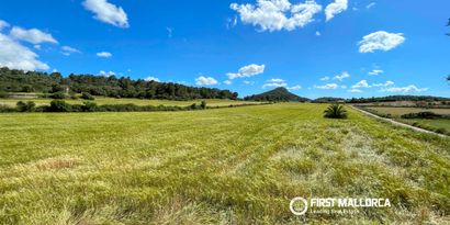 Inmobiliaria picture 2 Ref. Nº. R29769