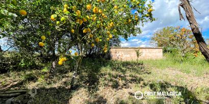 Inmobiliaria picture 30 Ref. Nº. R29769