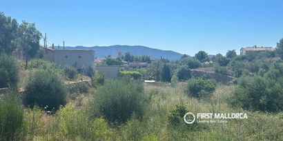 Inmobiliaria picture 3 Ref. Nº. 83761