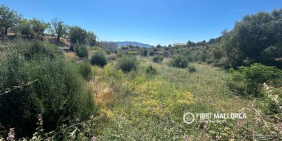Inmobiliaria picture 2 Ref. Nº. 83761