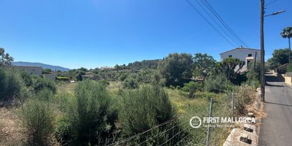Inmobiliaria picture 4 Ref. Nº. 83761