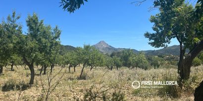 Inmobiliaria picture 7 Ref. Nº. 83761