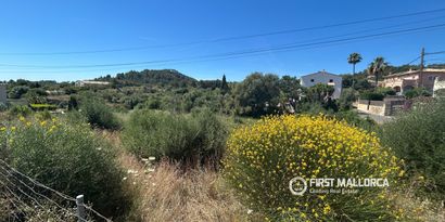 Inmobiliaria picture 8 Ref. Nº. 83761