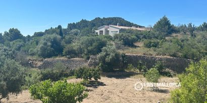 Inmobiliaria picture 10 Ref. Nº. 83761