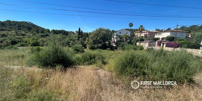 Inmobiliaria picture 0 Ref. Nº. 83761