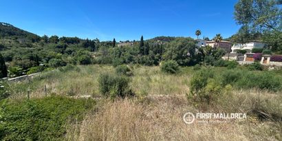 Inmobiliaria picture 1 Ref. Nº. 83761