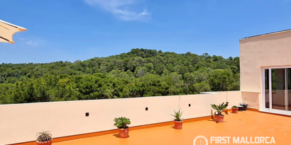 Inmobiliaria picture 10 Ref. Nº. 83780