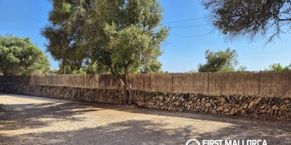 Real Estates picture 23 Ref. R29920