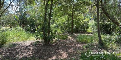 Real Estates picture 8 Ref. 83833