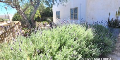 Real Estates picture 13 Ref. R29546