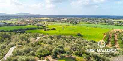 Real Estates picture 5 Ref. 64653
