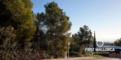 Inmobiliaria picture 0 Ref. Nº. 54291