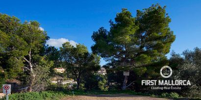 Inmobiliaria picture 2 Ref. Nº. 54291