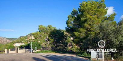 Inmobiliaria picture 1 Ref. Nº. 54291