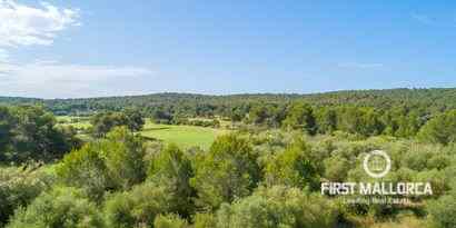 Inmobiliaria picture 4 Ref. Nº. 65082