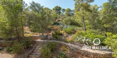 Real Estates picture 2 Ref. 64433