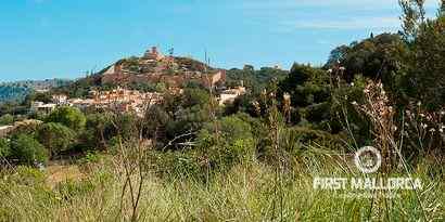 Real Estates picture 0 Ref. Nr. 65887