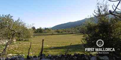 Real Estates picture 5 Ref. 65807
