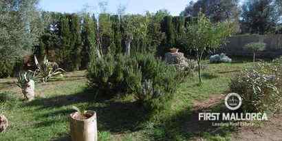 Real Estates picture 16 Ref. R12396