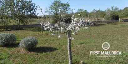 Real Estates picture 15 Ref. R12396