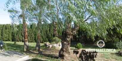 Real Estates picture 13 Ref. R12396