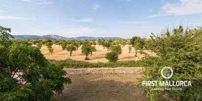 Real Estates picture 6 Ref. R8969