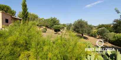 Real Estates picture 8 Ref. R8969